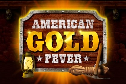 14563 american gold fever