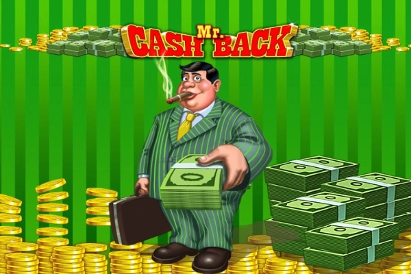 17390 mr cashback