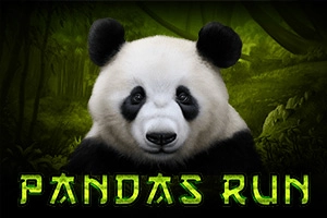 24220 pandas run